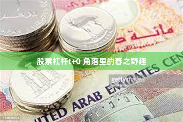 股票杠杆t+0 角落里的春之野趣