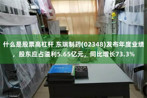 什么是股票高杠杆 东瑞制药(02348)发布年度业绩，股东应占溢利5.65亿元，同比增长73.3%