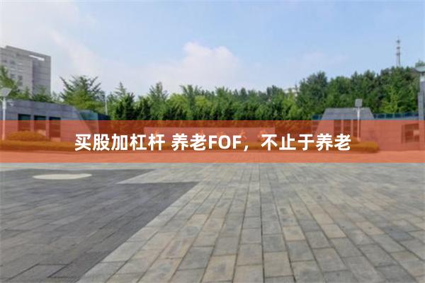 买股加杠杆 养老FOF，不止于养老