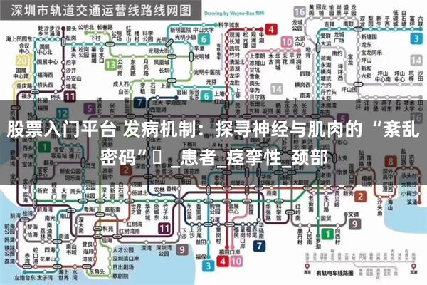 股票入门平台 发病机制：探寻神经与肌肉的 “紊乱密码”​_患者_痉挛性_颈部