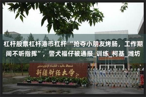 杠杆股票杠杆港币杠杆 “抢夺小朋友烤肠，工作期间不听指挥”，警犬福仔被通报_训练_柯基_潍坊