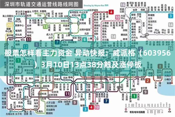 股票怎样看主力资金 异动快报：威派格（603956）3月10日13点38分触及涨停板