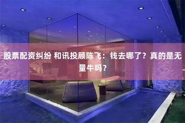 股票配资纠纷 和讯投顾陈飞：钱去哪了？真的是无量牛吗？