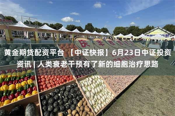 黄金期货配资平台 【中证快报】6月23日中证投资资讯 | 人类衰老干预有了新的细胞治疗思路