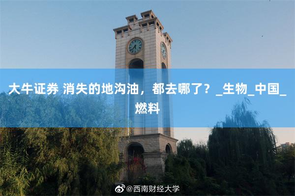 大牛证券 消失的地沟油，都去哪了？_生物_中国_燃料