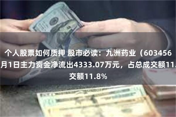 个人股票如何质押 股市必读：九洲药业（603456）7月1日主力资金净流出4333.07万元，占总成交额11.8%