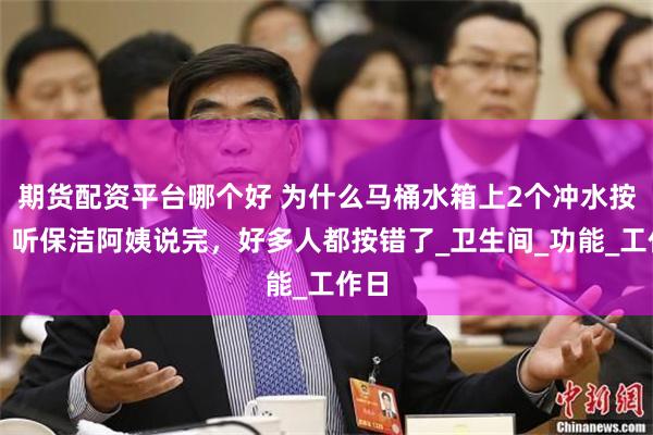 期货配资平台哪个好 为什么马桶水箱上2个冲水按钮？听保洁阿姨说完，好多人都按错了_卫生间_功能_工作日
