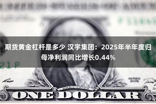 期货黄金杠杆是多少 汉宇集团：2025年半年度归母净利润同比增长0.44%