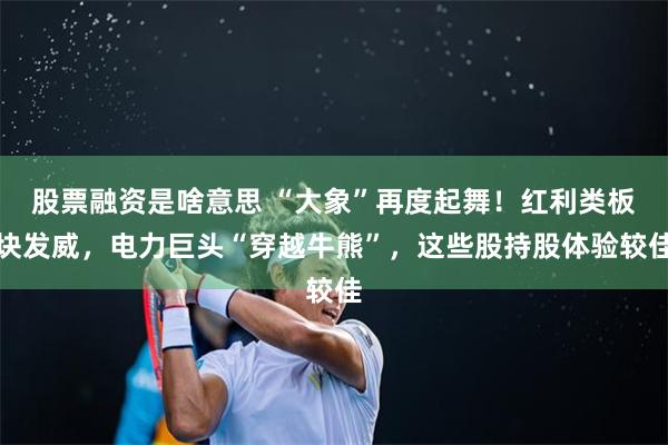 股票融资是啥意思 “大象”再度起舞！红利类板块发威，电力巨头“穿越牛熊”，这些股持股体验较佳